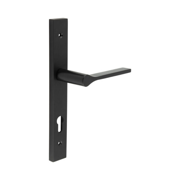 CR-105 Black Multi Point Backplate Door Handle