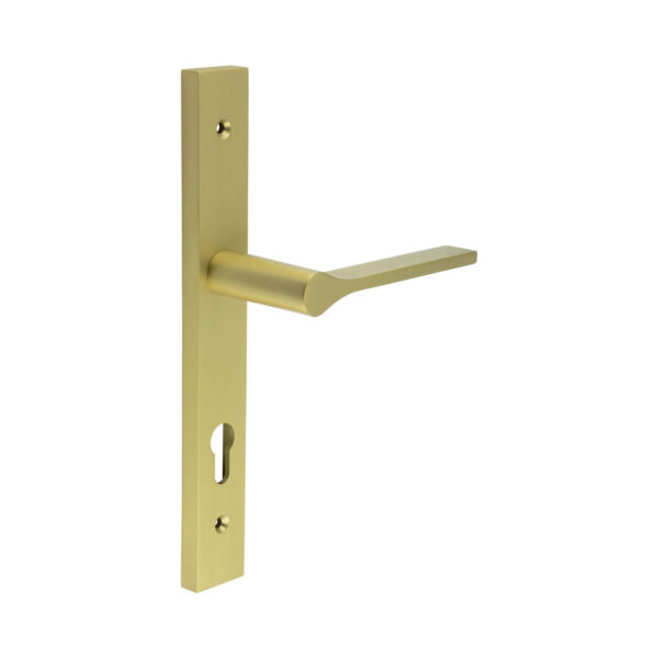 CR-105 Satin Brass Multi Point Backplate Door Handle