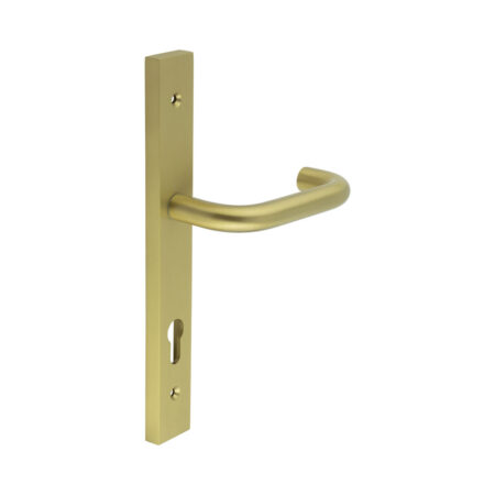 CR-106 Satin Brass Multi Point Backplate Door Handle