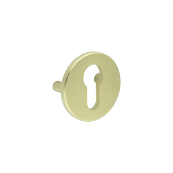 CRES Satin Brass Euro Escutcheon Lug Fixed