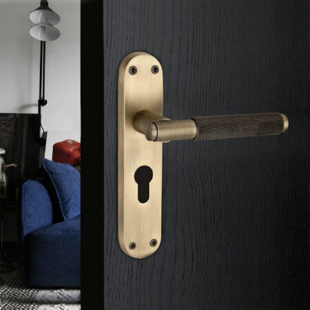 Spira Brass Brass Connaught Knurled Lever on Backplate Euro Matt Antique Door Handle Set - Image 3