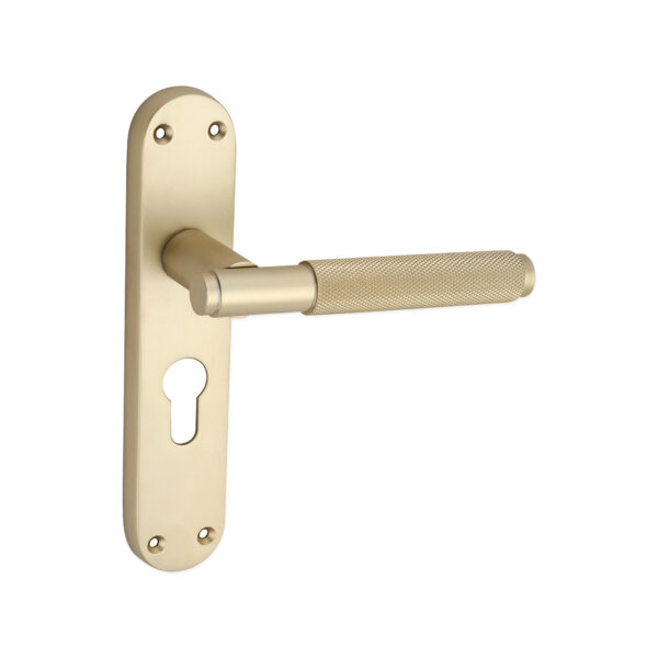 Spira Brass Satin Brass Connaught Knurled Lever on Backplate Euro Door Handle Set