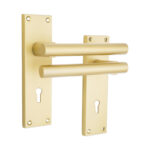 Jura Lever on Backplate Lock Satin Brass