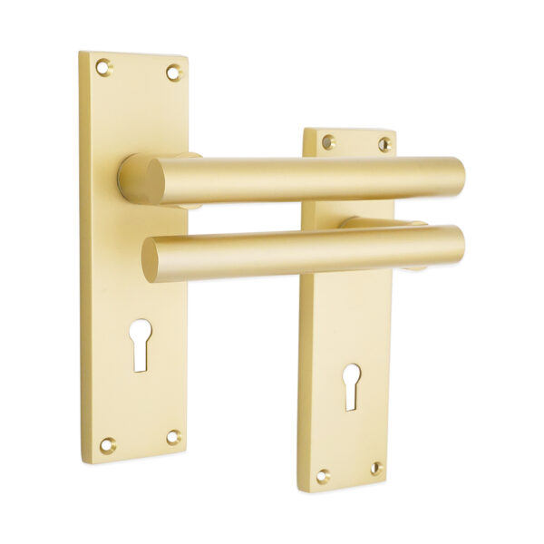 Jura Lever on Backplate Lock Satin Brass