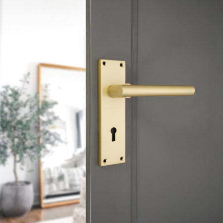 Jura Lever on Backplate Lock Satin Brass - Image 2
