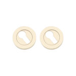 Spira Brass Euro Profile Escutcheon PVD Brass