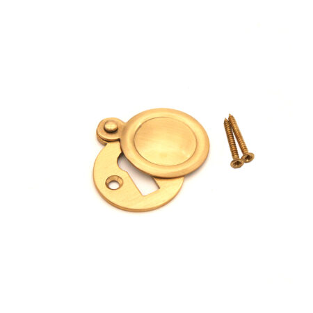 Spira Brass Victorian Key hole Covered Satin Brass - Image 2
