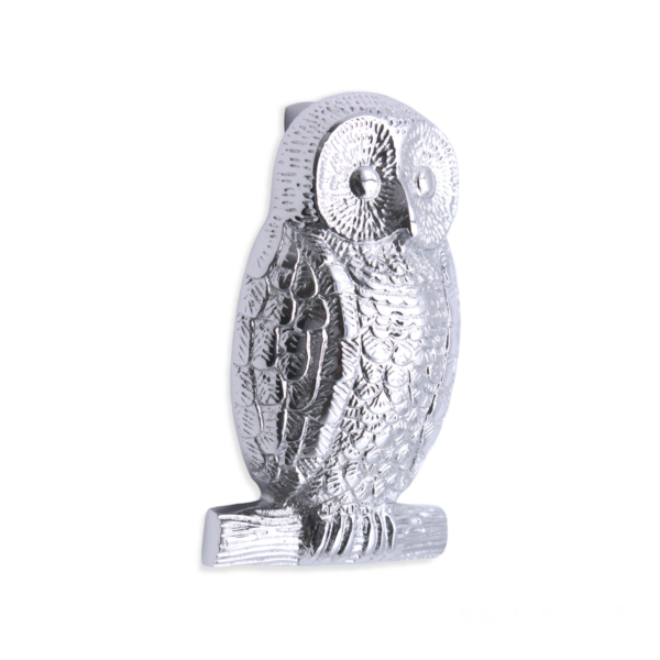 Spira Brass Polished Chrome Owl Door Knocker Front Door Knocker