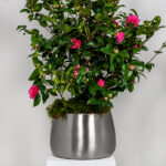 Satin Marine SS (316) 28cm Hepworth Pot | 50760