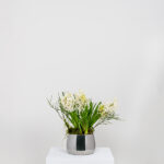 From the Anvil Polished Marine SS (316) 12.5cm Hepworth Pot