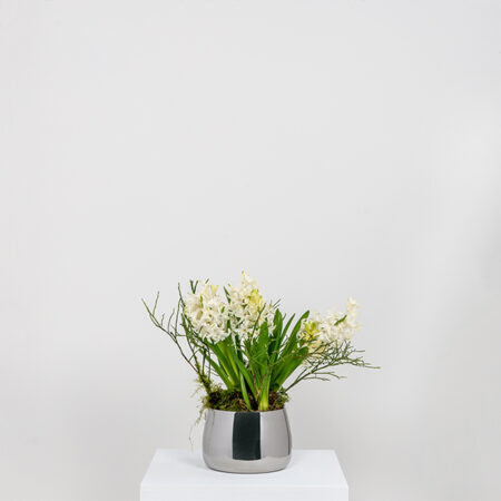 From the Anvil Polished Marine SS (316) 12.5cm Hepworth Pot