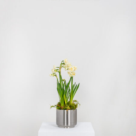 Satin Marine SS (316) 12.5cm Newlyn Pot | 50764