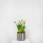 Satin Marine SS (316) 16cm Newlyn Pot | 50765