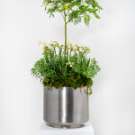 Satin Marine SS (316) 28cm Newlyn Pot | 50766