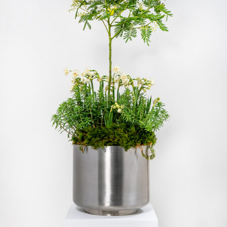 Satin Marine SS (316) 28cm Newlyn Pot | 50766