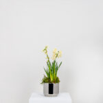 Polished Marine SS (316) 12.5cm Newlyn Pot | 50767