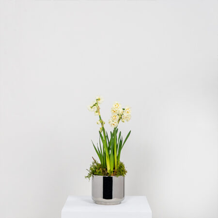 Polished Marine SS (316) 12.5cm Newlyn Pot | 50767