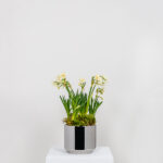 Polished Marine SS (316) 16cm Newlyn Pot | 50768