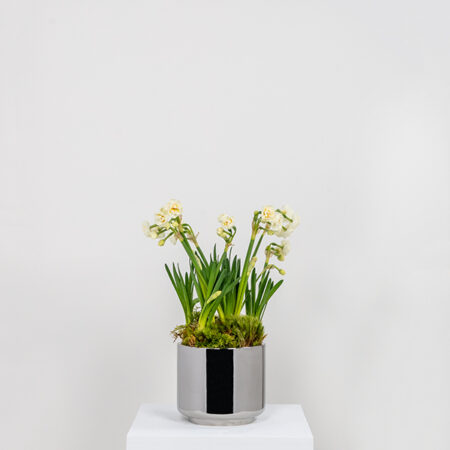 Polished Marine SS (316) 16cm Newlyn Pot | 50768