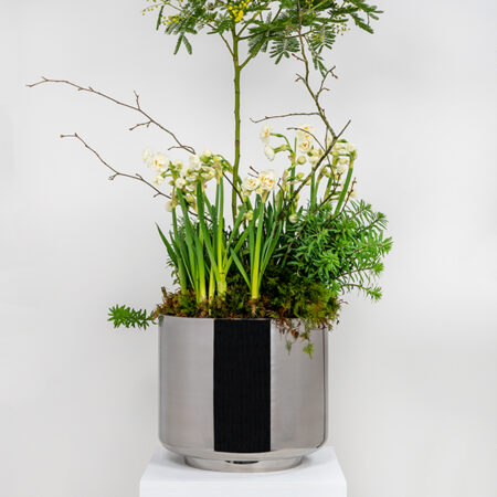 Polished Marine SS (316) 28cm Newlyn Pot | 50769