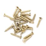 From the Anvil Polished Brass SS 4x¾" Countersunk Screws (25)
