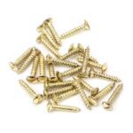 From the Anvil Polished Brass SS 4x¾" Countersunk Raised Head Screws (25)