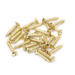 From the Anvil Polished Brass SS 6x¾" Countersunk Raised Head Screws (25)