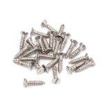 From the Anvil Stainless Steel 4x½" Countersunk Screws (25)