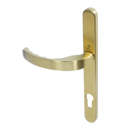 BLU EGC096 Ergonomic Lever Door Handle on Backplate Set Visible Fixings 316 Stainless Steel with a PVD Satin Brass Finish