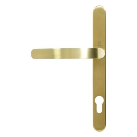 BLU EGC096 Ergonomic Lever Door Handle on Backplate Set Visible Fixings 316 Stainless Steel with a PVD Satin Brass Finish - Image 2