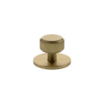 Atlantic Millhouse Brass Battersea Linear Round Cabinet Knob Handle on Backplate - Satin Brass