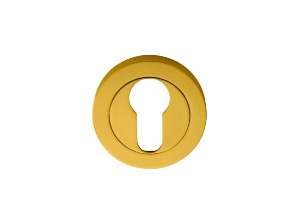 Manital Escutcheon - Euro Profile on Concealed Fix Round Rose - Polished Brass