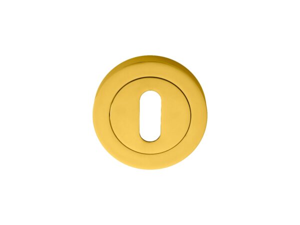 Manital Escutcheon - Lock Profile on Concealed Fix Round Rose - Polished Brass