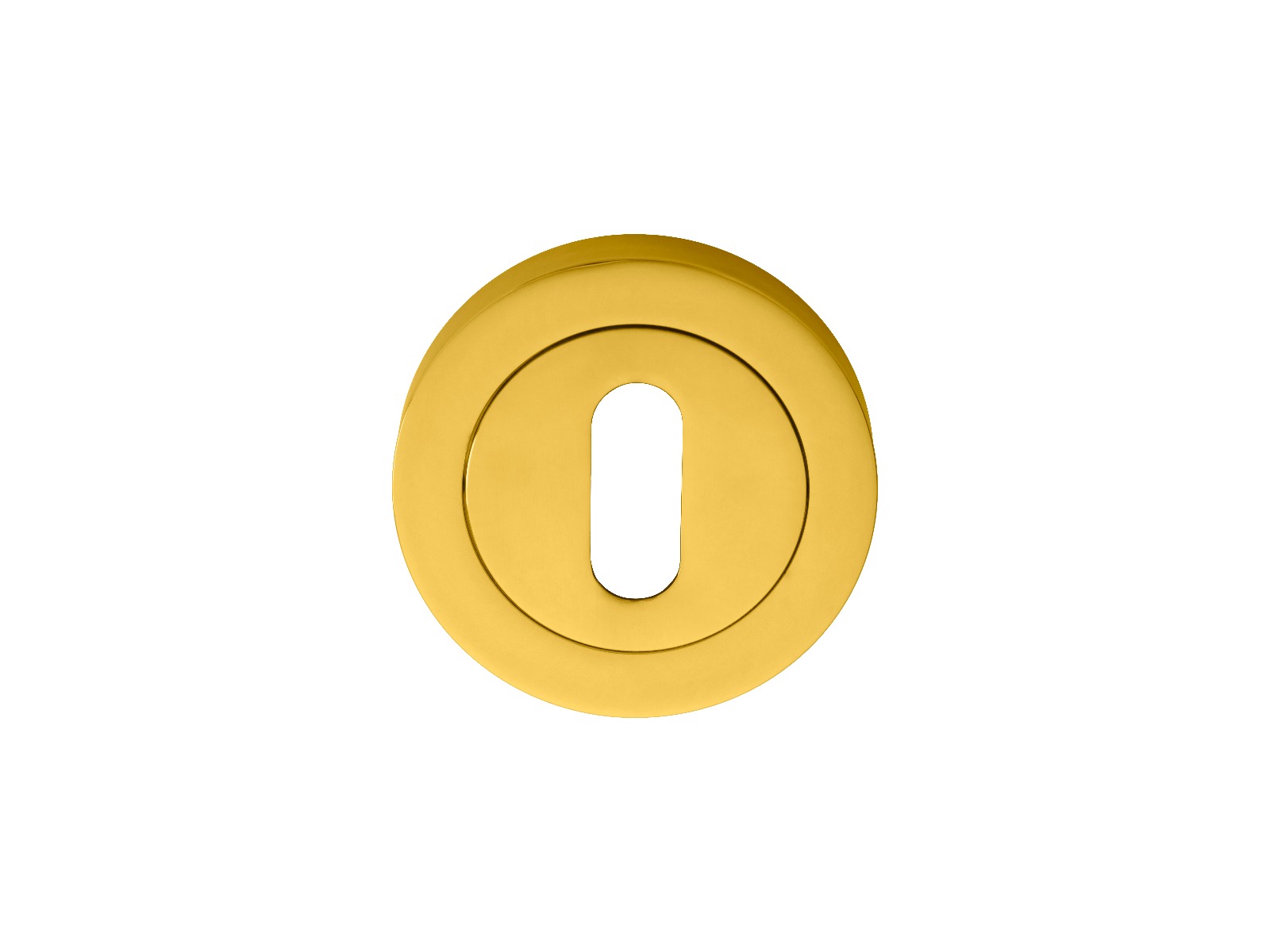 aa3.jpg Manital Escutcheon - Lock Profile on Concealed Fix Round Rose - Polished Brass - Image 1