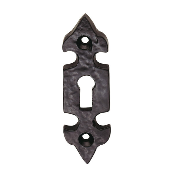 Carlisle Brass Escutcheon - Lock Profile Fleur De Lys Face Fix - Black Antique